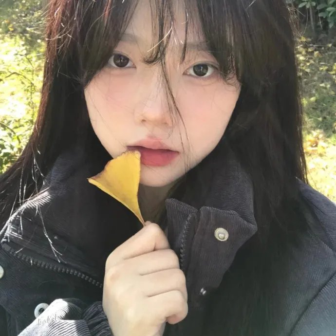 鸟,孤儿和愚人